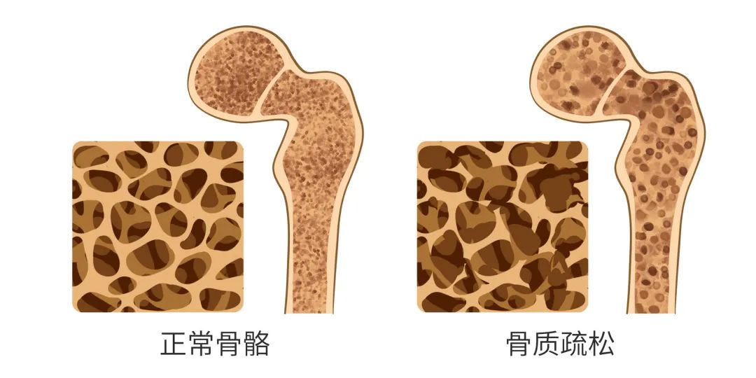 微信图片_20221017163250.jpg